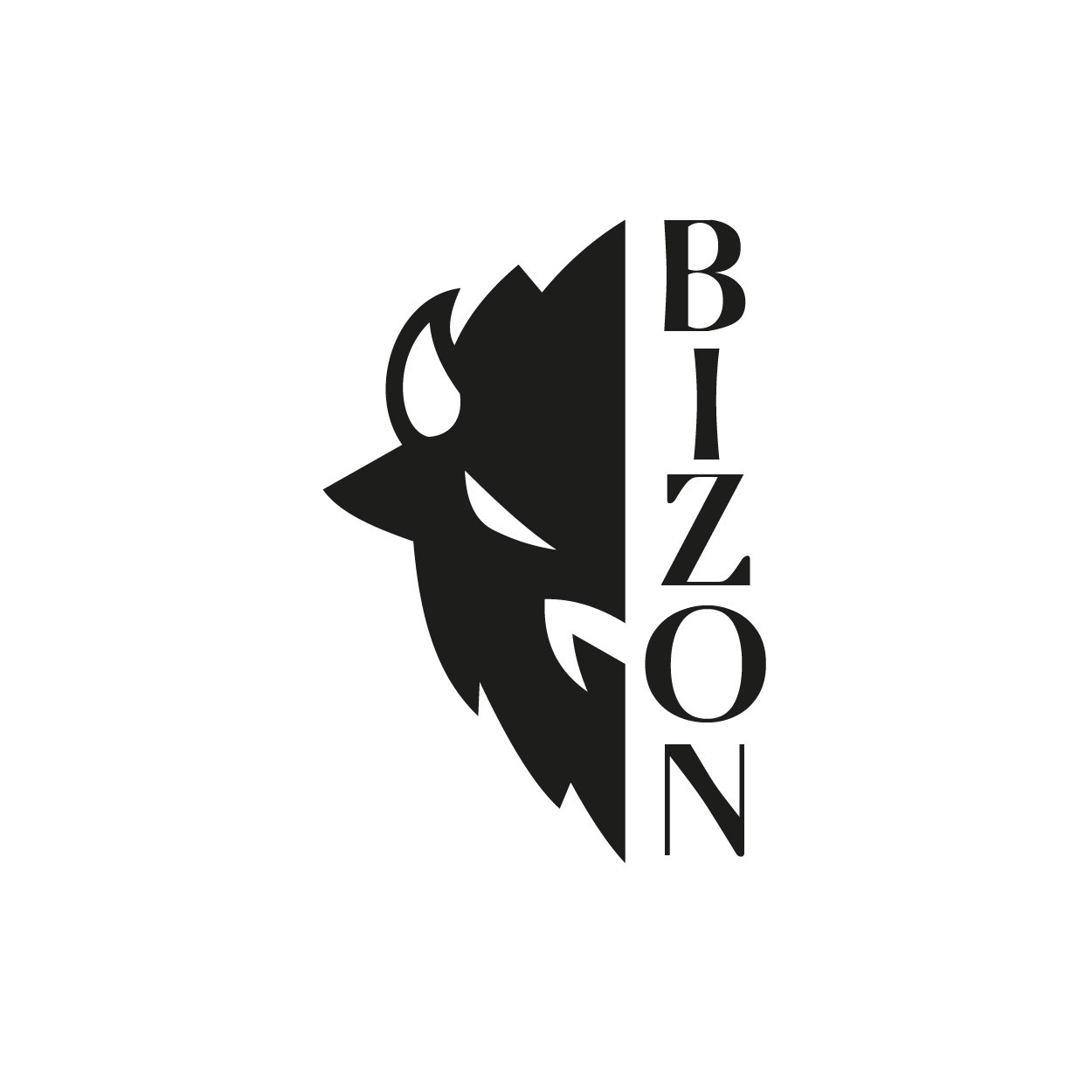 BIZON студия
