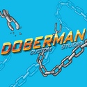 Doberman custom studio