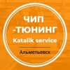 Katalik service