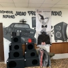 Owl Sounds Автозвук