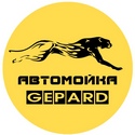 Гепард